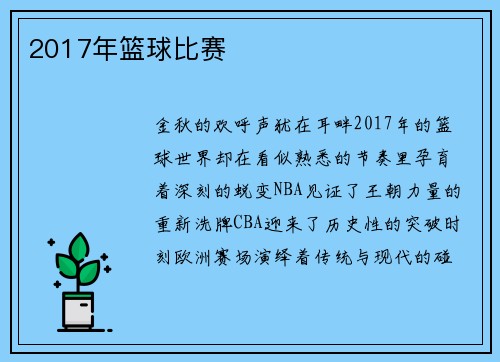 2017年篮球比赛